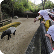 動物園ごっここども04